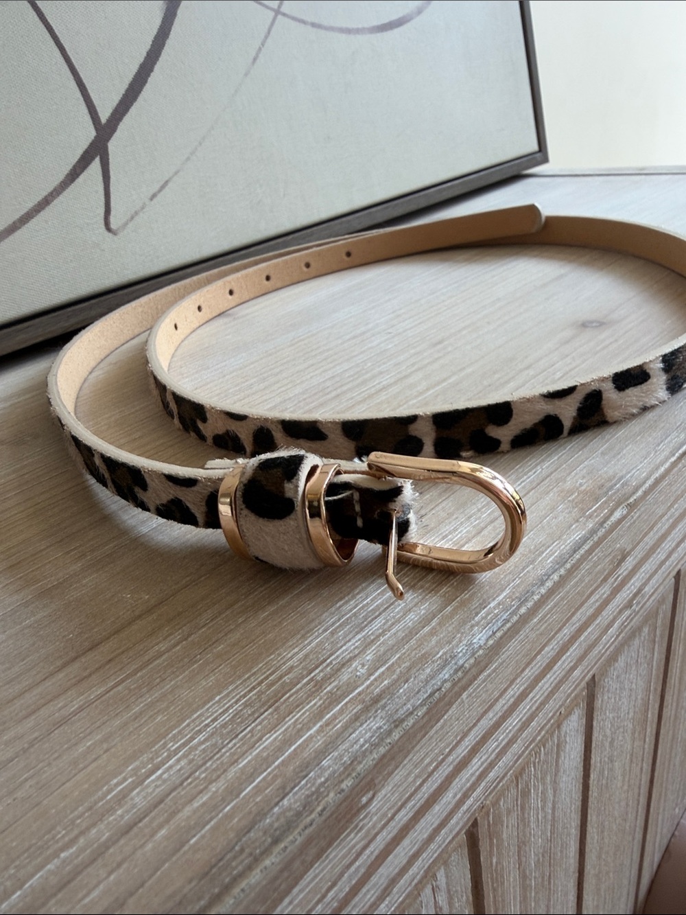 Source Unknown Leopard Print Skinny Belt with Gold-Tone Buckle
